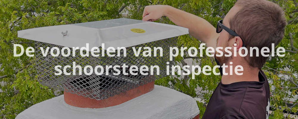De voordelen van professionele schoorsteen inspectie