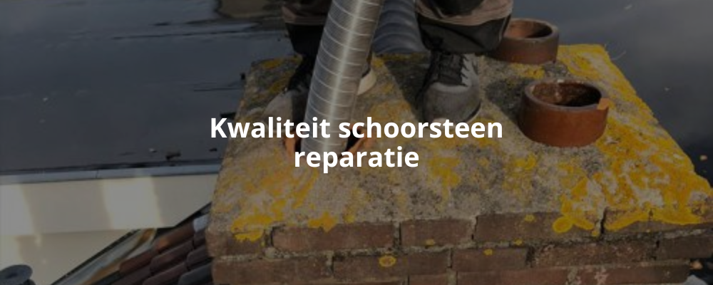 Kwaliteit schoorsteen reparatie