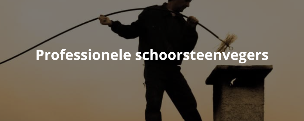 Professionele schoorsteenvegers