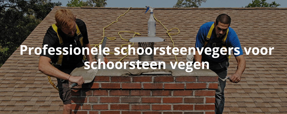 Professionele schoorsteenvegers voor schoorsteen vegen