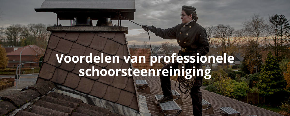 Voordelen van professionele schoorsteenreiniging