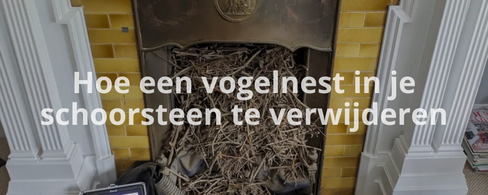 Hoe een vogelnest in je schoorsteen te verwijderen