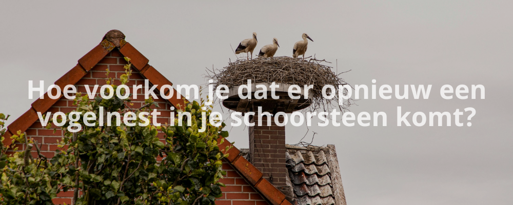 Hoe voorkom je dat er opnieuw een vogelnest in je schoorsteen komt?