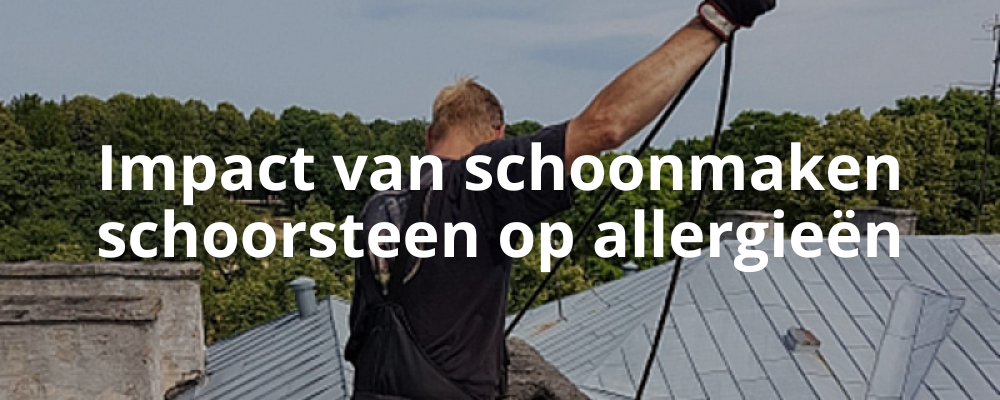 Impact van schoonmaken schoorsteen op allergieën Impact van schoonmaken schoorsteen op allergieën