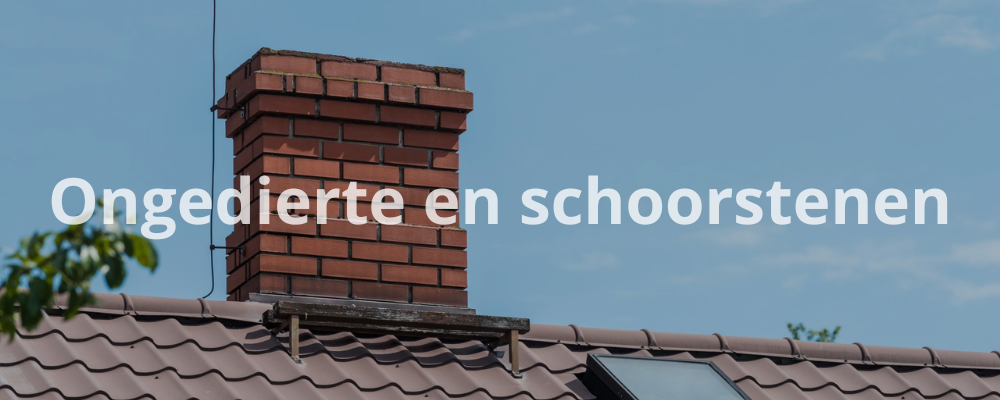 Ongedierte en schoorstenen