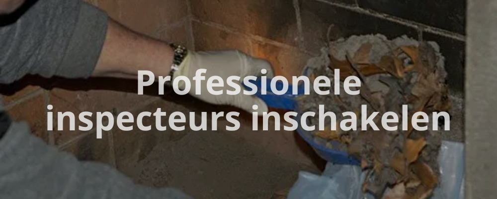 Professionele inspecteurs inschakelen