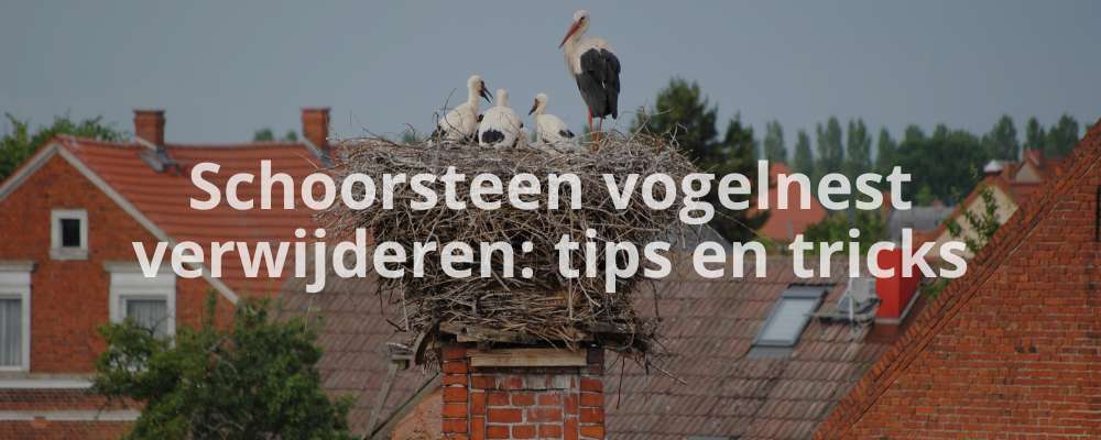 Schoorsteen vogelnest verwijderen: tips en tricks
