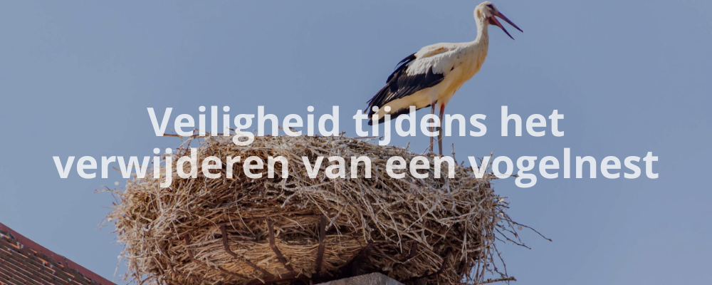 Veiligheid tijdens het verwijderen van een vogelnest
