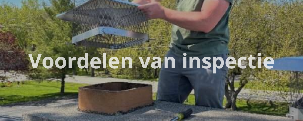 Voordelen van inspectie