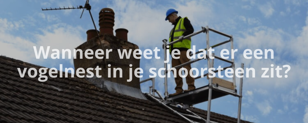 Wanneer weet je dat er een vogelnest in je schoorsteen zit?
