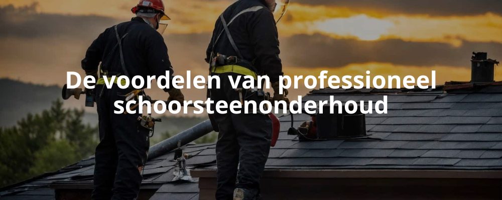 De voordelen van professioneel schoorsteenonderhoud De voordelen van professioneel schoorsteenonderhoud