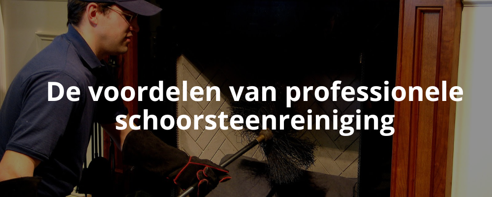 De voordelen van professionele schoorsteenreiniging De voordelen van professionele schoorsteenreiniging