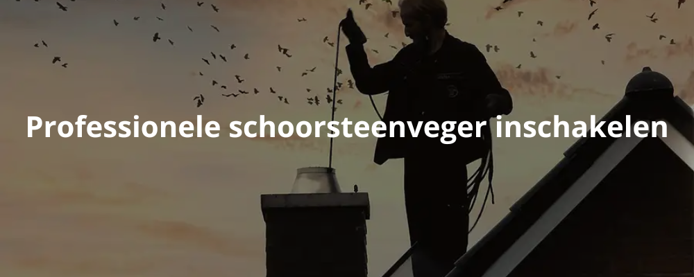 Professionele schoorsteenveger inschakelen Professionele schoorsteenveger inschakelen