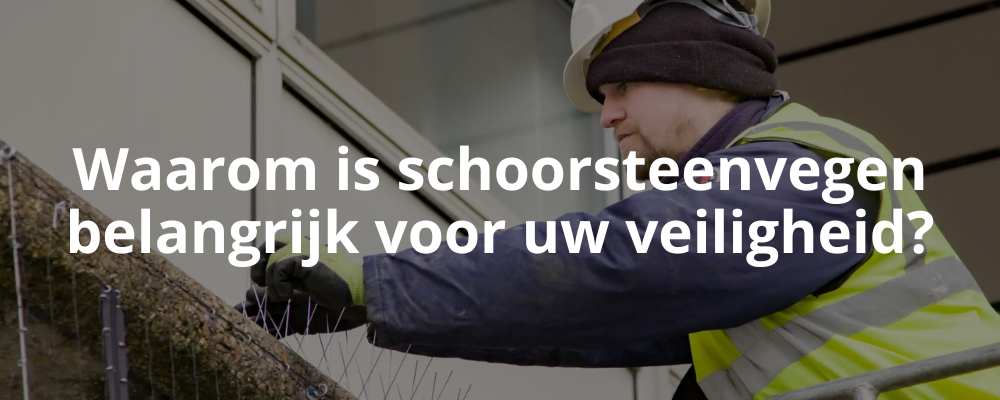 Waarom is schoorsteenvegen belangrijk voor uw veiligheid? Waarom is schoorsteenvegen belangrijk voor uw veiligheid?