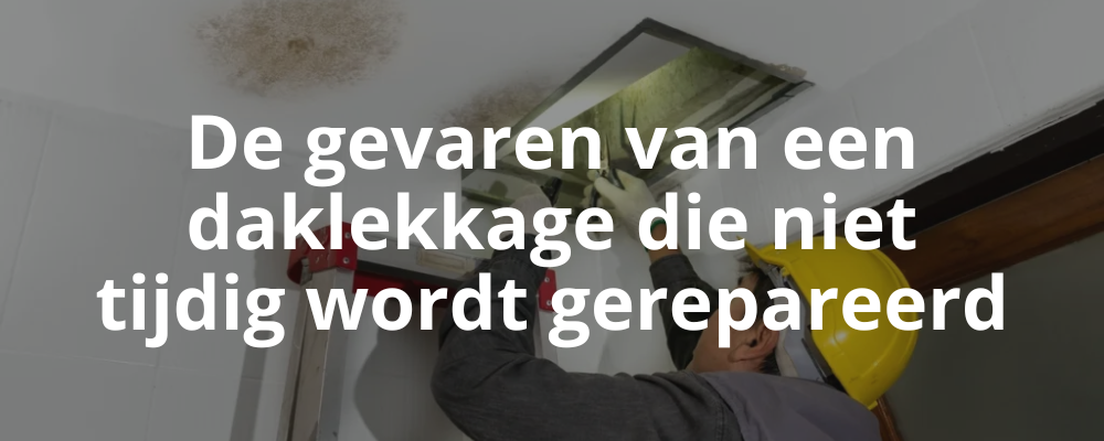 De gevaren van een daklekkage die niet tijdig wordt gerepareerd De gevaren van een daklekkage die niet tijdig wordt gerepareerd