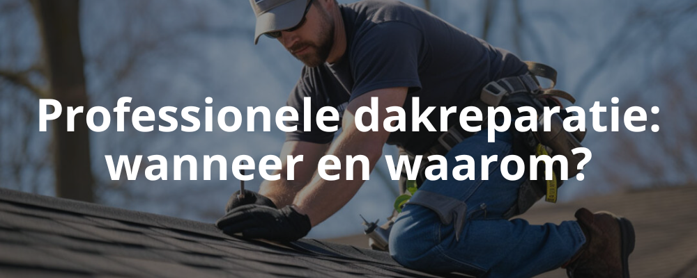 Professionele dakreparatie: wanneer en waarom? Professionele dakreparatie: wanneer en waarom?