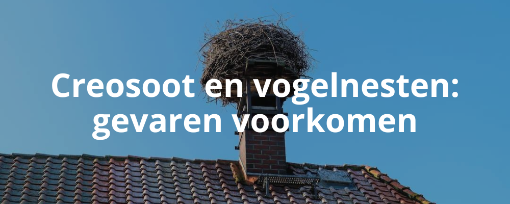 Creosoot en vogelnesten: gevaren voorkomen
