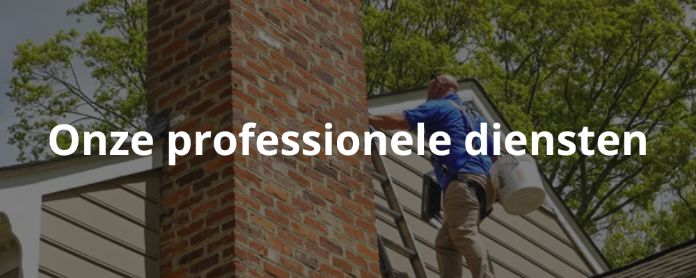 Onze professionele diensten Onze professionele diensten